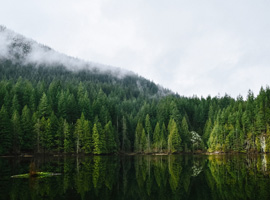 12 Passenger Van Rental at Vancouver international airport (YVR)