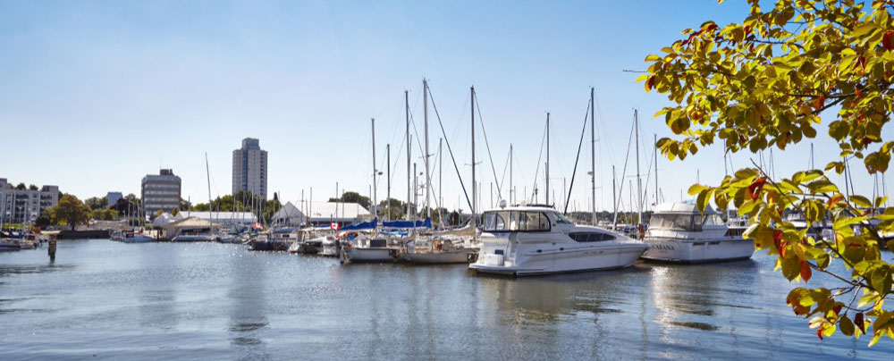 12 passenger van rental